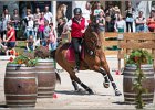 Pferd International 072